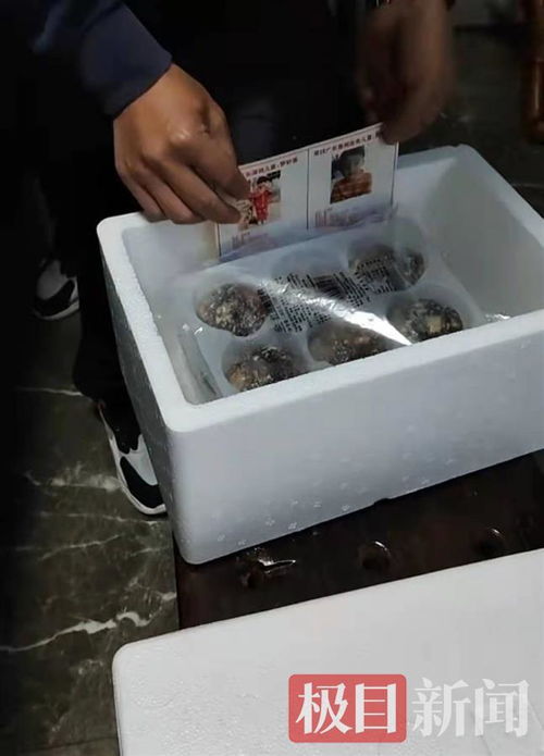 孫海洋跨界餐飲 以包子為媒，將尋親信息送入千家萬戶